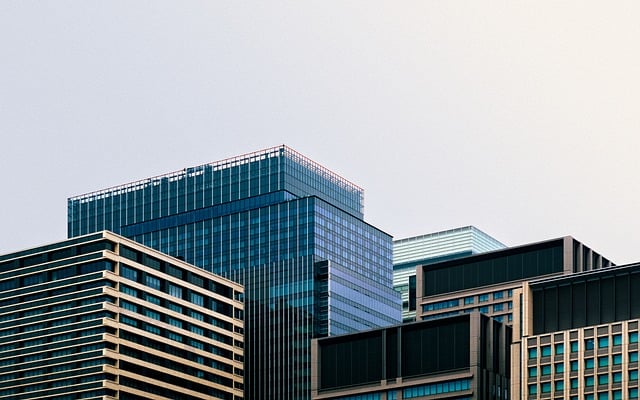 Zoom下载中心找不到？试试这几个官方入口